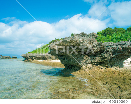 遠浅の海岸 49019060