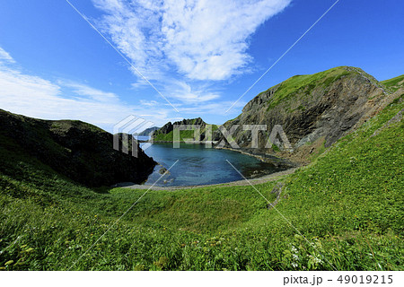 礼文島 澄海岬 の写真素材