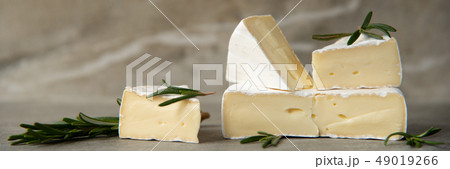 Cheese camembert or brie with fresh rosemary 49019266
