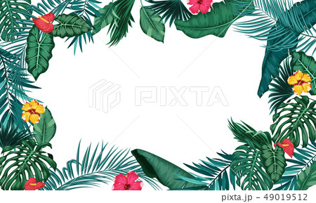 Tropical leaves isolated on white background Tropical leaves isolated on white background 49019512