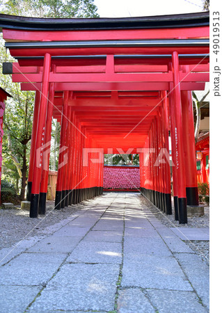 犬山三光稲荷神社の赤い鳥居 犬山三光稲荷神社の赤い鳥居 49019513