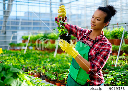 Black woman working in a botanical garden 49019588
