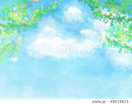 葉 空 植物 木 水彩 手描き風 のイラスト素材 [49019623] - PIXTA