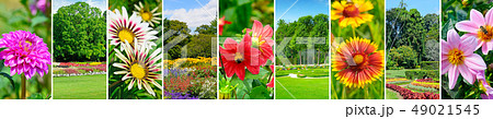 Gardens with beautiful flowers and lawns. Gardens with beautiful flowers and lawns. 49021545