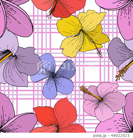Vector Hibiscus floral tropical flowers. Engraved ink art on white background. Seamless background 49022023