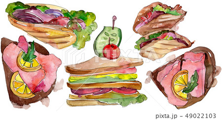 Sandwich in a watercolor style isolated. Watercolour fast food illustration element on white 49022103