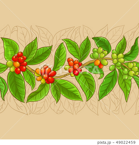 coffee vector pattern 49022459