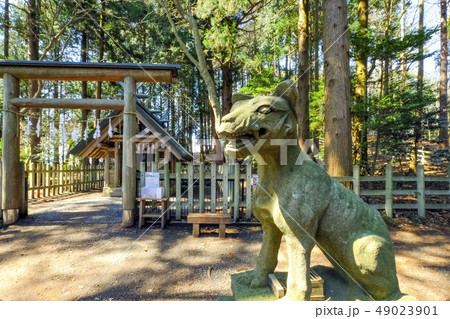 狛犬と宝登山奥宮（阿） 49023901