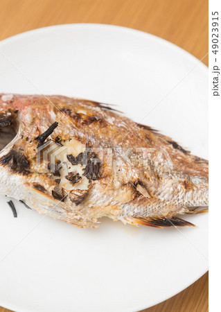 鯛 49023915