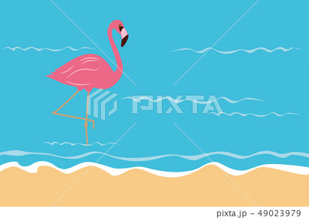 pink tropical flamingo in the water on the beach pink tropical flamingo in the water on the beach 49023979