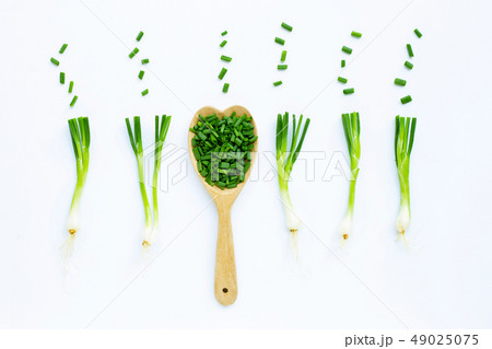 Green onions isolated on white Green onions isolated on white 49025075