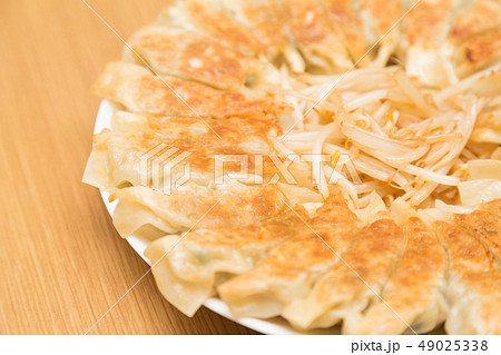 焼きギョーザ 焼きギョーザ 49025338