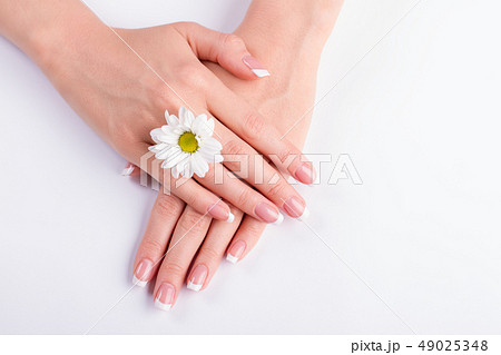 Manicure with a white chrysanthemum. Manicure with a white chrysanthemum. 49025348
