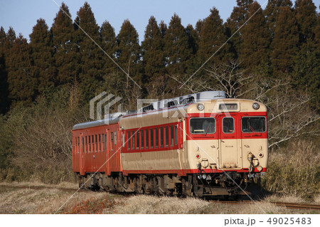 いすみ鉄道の急行列車（キハ52+キハ28） 49025483