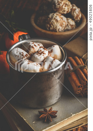 Rustic mug of hot chocolate with marshmallows 49025806