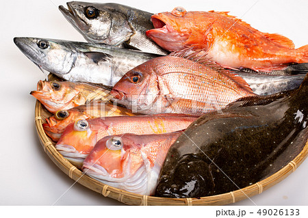 魚　盛り合わせ 49026133