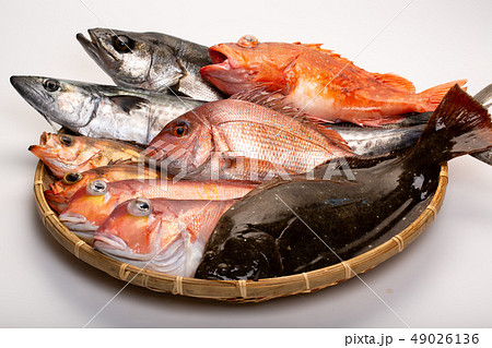 魚　盛り合わせ 49026136