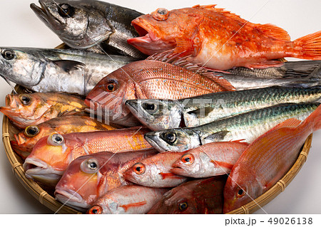 魚　盛り合わせ 49026138