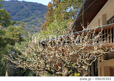 伊勢神宮 伊勢神宮 49026393