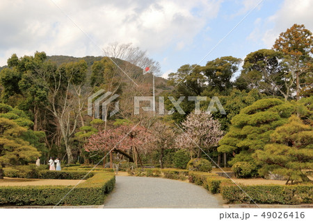 伊勢神宮 伊勢神宮 49026416