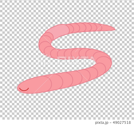 ミミズのキャラクター Earthworm of character ミミズのキャラクター Earthworm of character 49027518