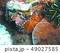 海の重力抵抗者 49027585