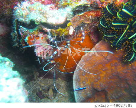 海の重力抵抗者 海の重力抵抗者 49027585