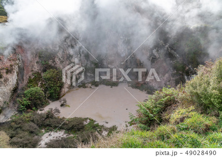 Geyser with smoke, New Zealand 49028490