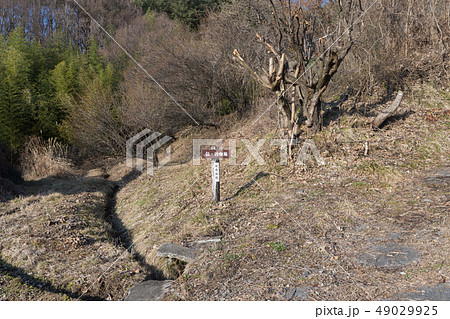 埴原城跡　的畑跡 49029925