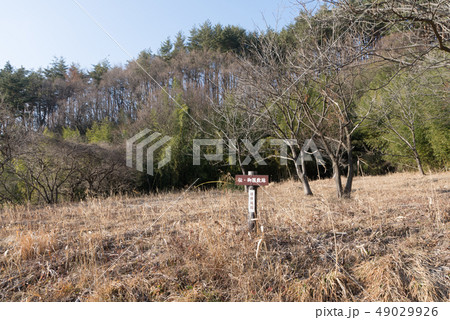 埴原城跡　御屋敷跡 49029926