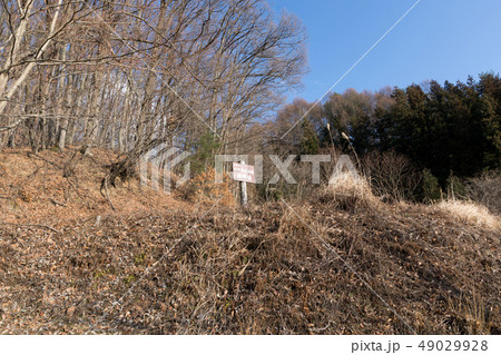 埴原城跡 49029928
