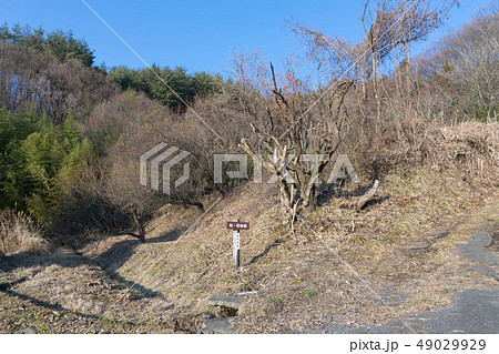 埴原城跡　的畑跡 49029929