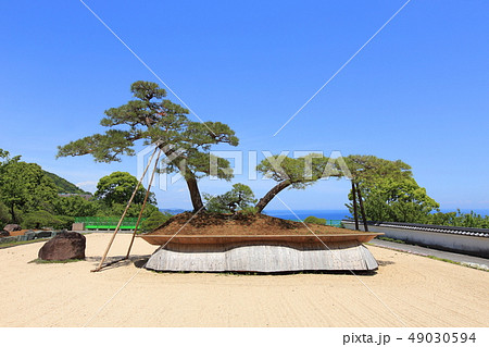 アカオフォレスト　日本庭園 49030594