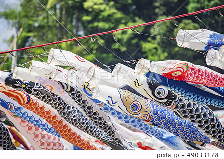 【泳げ鯉のぼり相模川】 49033178