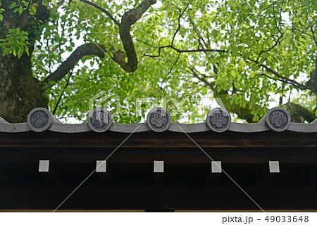 京都迎賓館の丸紋瓦-1 49033648