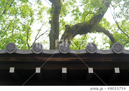 京都迎賓館の丸紋瓦-2 49033754