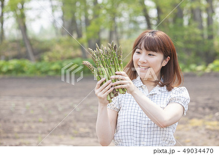 アスパラの生産者 49034470