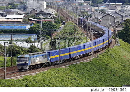 カンガルーライナー　西濃運輸 49034562