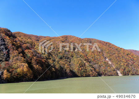 秋の広瀬湖 49034670