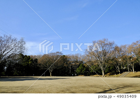 鴨池公園　横浜　都筑区　荏田 49035409