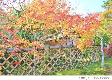 光悦寺　 49035509