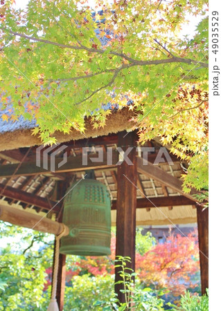 光悦寺　 49035529