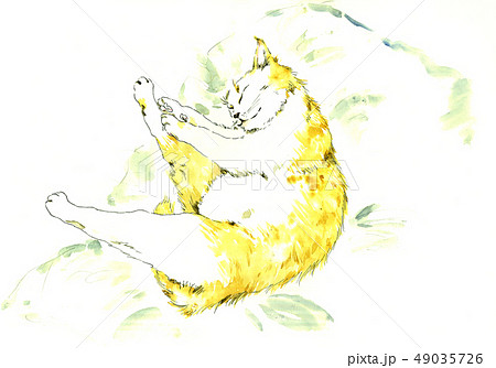 猫 水彩画 猫 水彩画 49035726