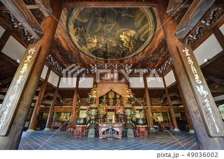 南禅寺の幡龍 南禅寺の幡龍 49036002