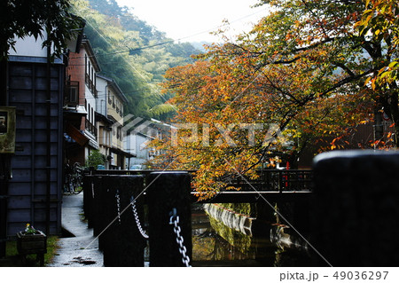 城崎温泉　風景 49036297