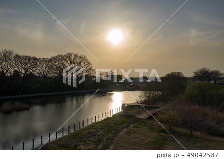 夕景の公園と釣り沼 49042587