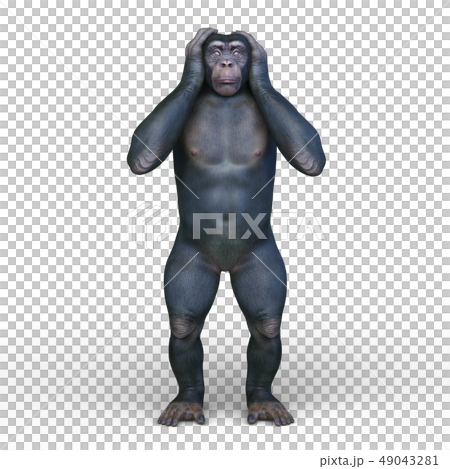 A monkey A monkey 49043281