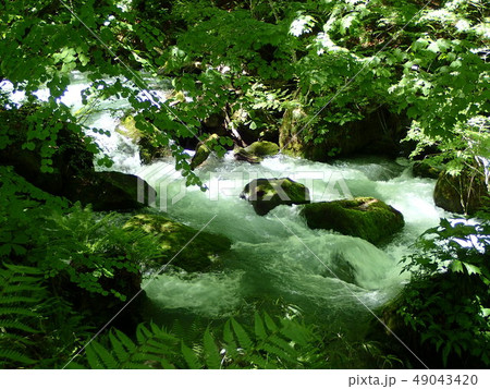 奥入瀬渓流11 奥入瀬渓流11 49043420