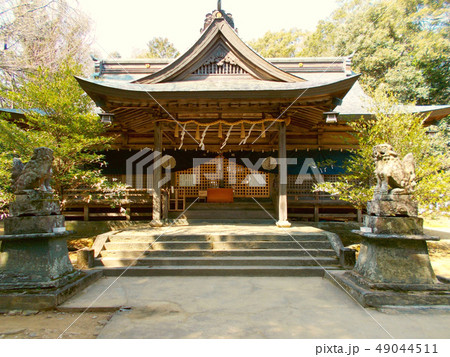 天岩戸別八倉比賣神社 49044511