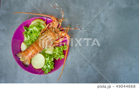 steamed lobster on plate steamed lobster on plate 49044668